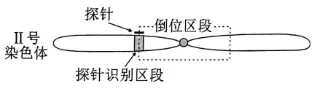 生物高考真题 | 2023年高考生物真题(湖北卷)-第7张图片-四季读书网 生物高考真题 | 2023年高考生物真题(湖北卷)-第7张图片-四季读书网