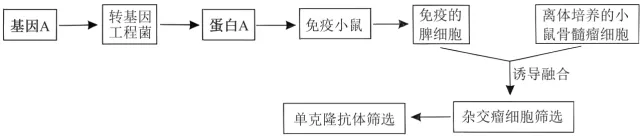 生物高考真题 | 2023年高考生物真题(湖北卷)-第14张图片-四季读书网 生物高考真题 | 2023年高考生物真题(湖北卷)-第14张图片-四季读书网