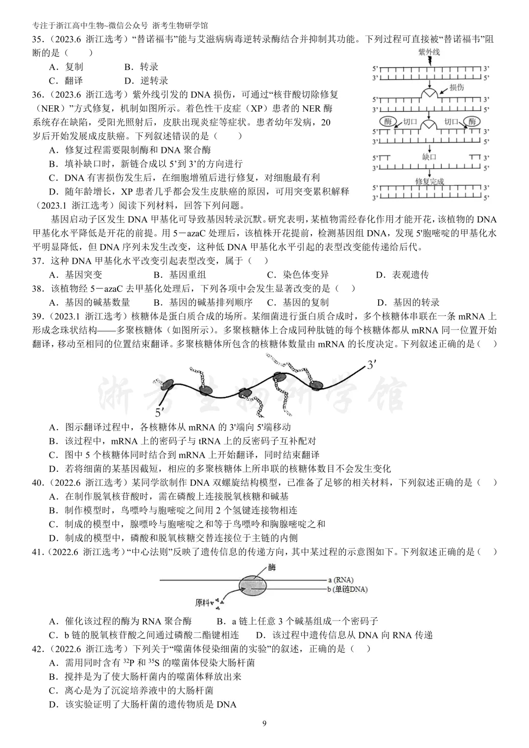 浙江选考生物7年真题分类精选 必修二(浙江高三必练)-第12张图片-四季读书网 浙江选考生物7年真题分类精选 必修二(浙江高三必练)-第12张图片-四季读书网