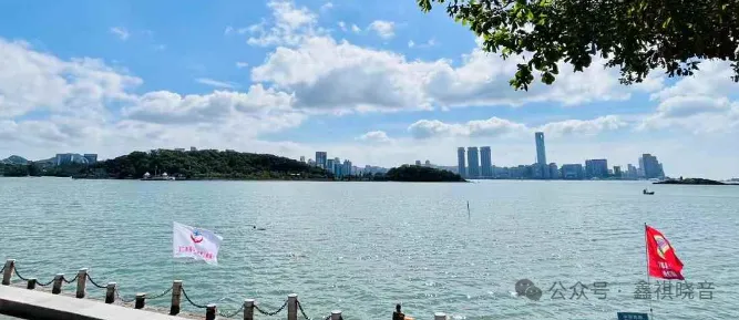 【初三化学】神奇的过氧化氢——双氧水催化剂探究-第2张图片-四季读书网