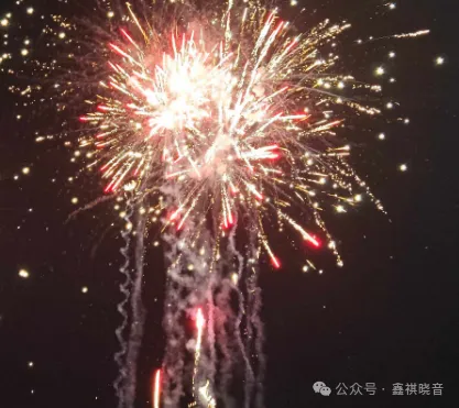 【初三化学】神奇的过氧化氢——双氧水催化剂探究-第3张图片-四季读书网 【初三化学】神奇的过氧化氢——双氧水催化剂探究-第3张图片-四季读书网