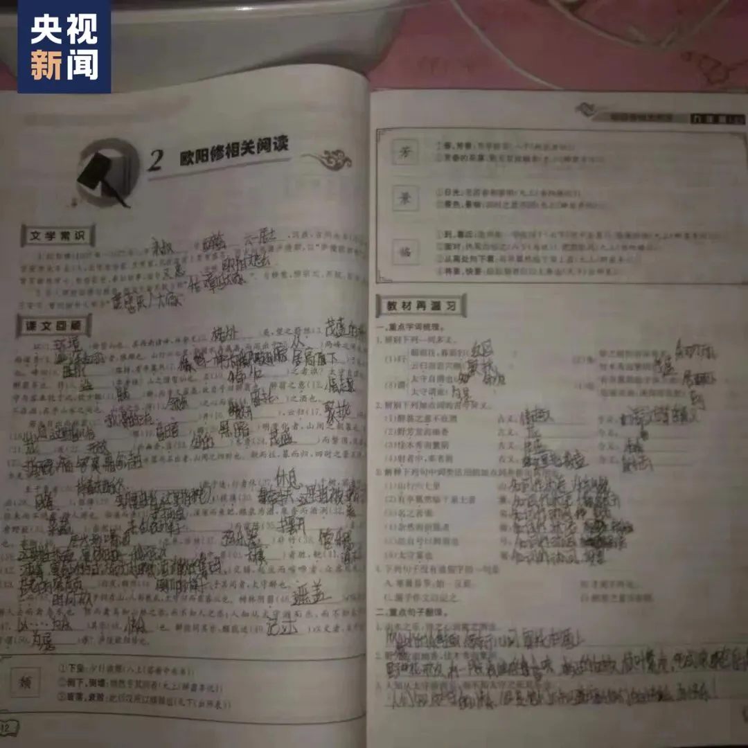 浙江初三学生刮蹭私家车,车主意外不要赔偿,反而让她…-第17张图片-四季读书网