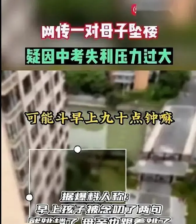 本地孩子学位被挤占!石家庄中考空降生乱象,真的该整治了!-第4张图片-四季读书网