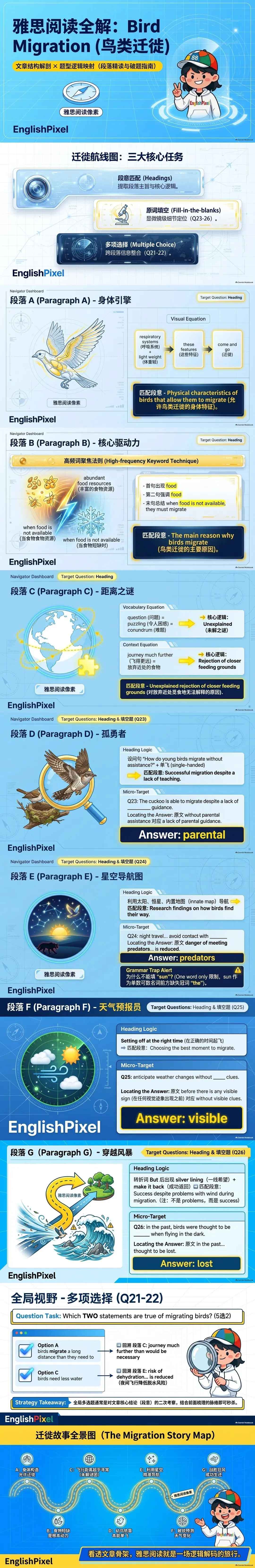 小毛花花讲雅思阅读真题 | Bird migration-第2张图片-四季读书网