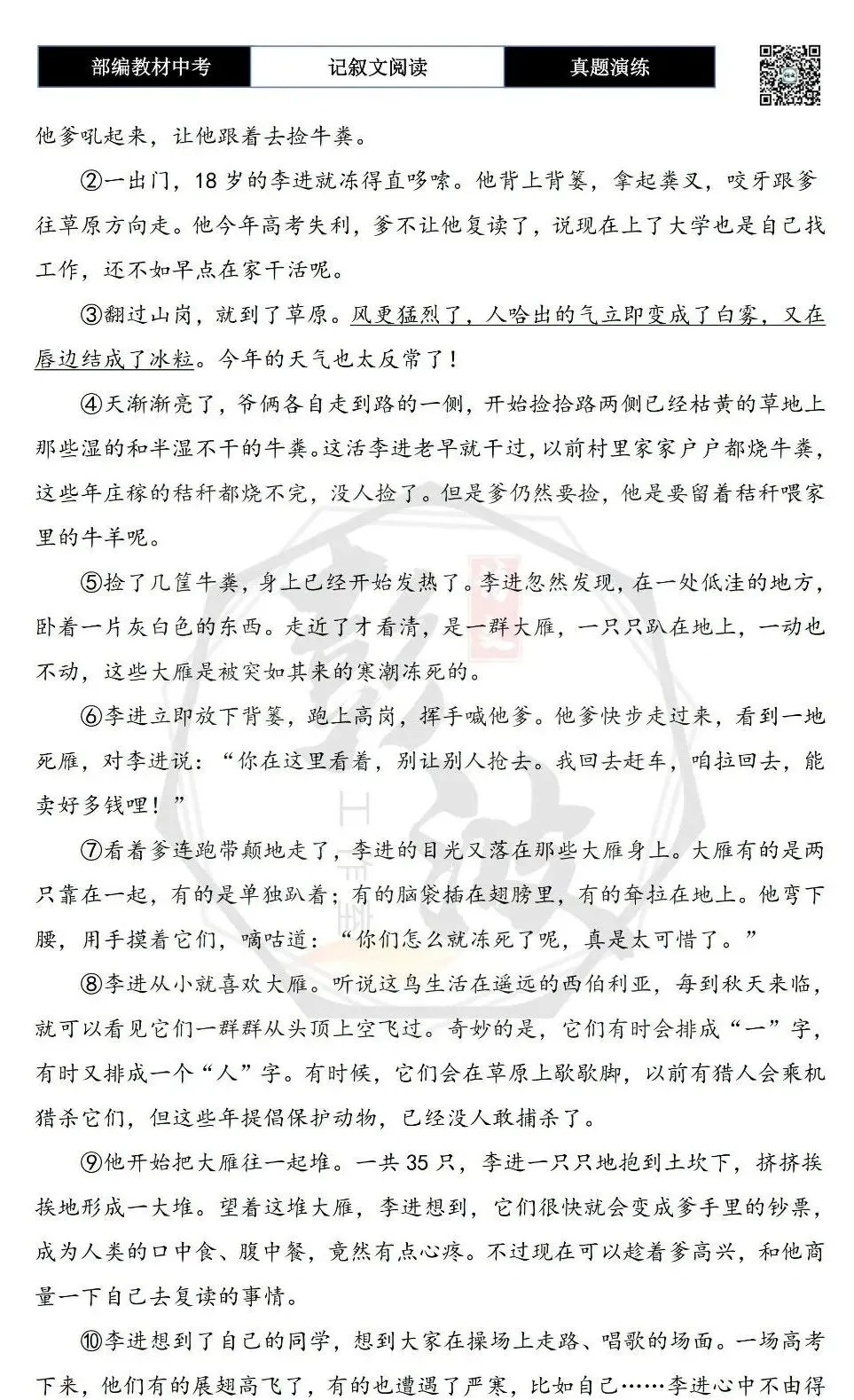 【中考现代文阅读-真题演练】52-大雁快飞-思维导图+试题精析-第6张图片-四季读书网