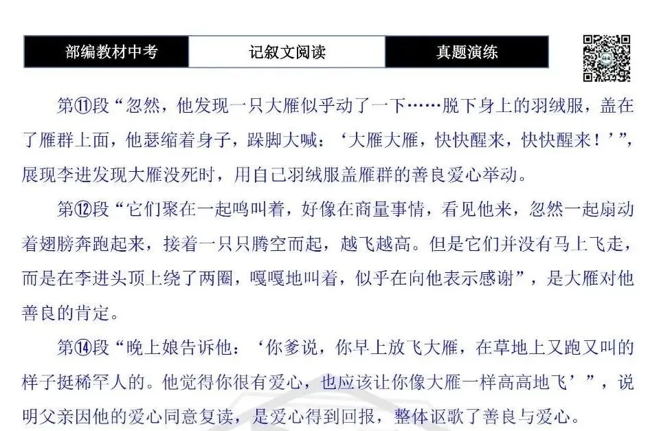 【中考现代文阅读-真题演练】52-大雁快飞-思维导图+试题精析-第11张图片-四季读书网