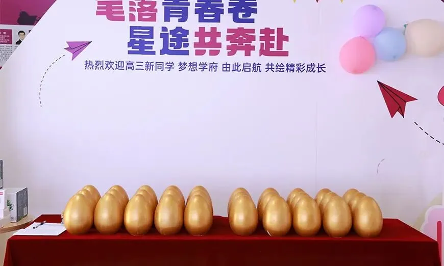 成都名师荟|2027 届高考全日制冲刺招生一览-第1张图片-四季读书网