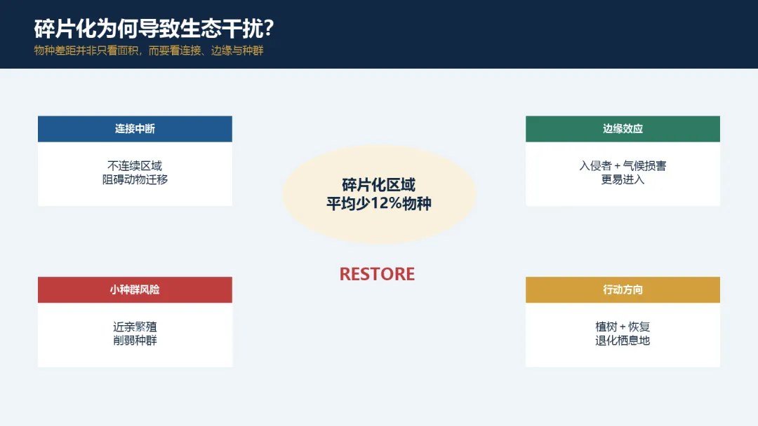 每天一篇高考阅读Day10|森林切成“拼图”,物种真的更多吗?-第3张图片-四季读书网 每天一篇高考阅读Day10|森林切成“拼图”,物种真的更多吗?-第3张图片-四季读书网