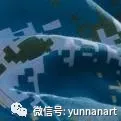云南大学美术考研27届冲刺班/真题班/押题卷/线下最后督学/最后80天感觉离考上研究生越来越远了吗?相信你还值得抢救一下-第50张图片-四季读书网