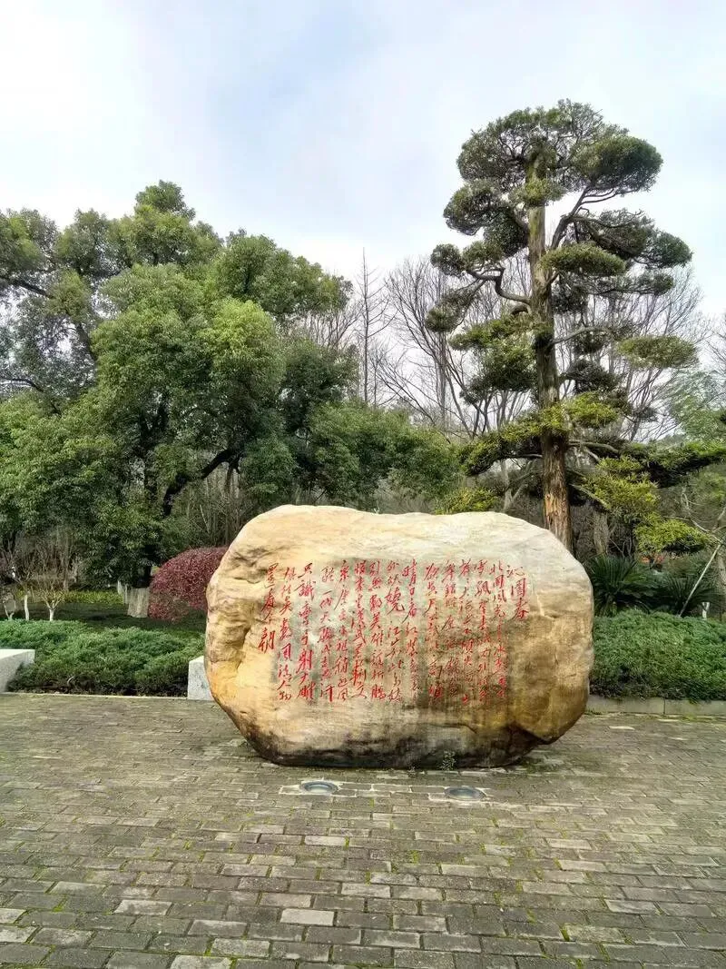 高考语文小说阅读之叙述方式知识点复习-第4张图片-四季读书网 高考语文小说阅读之叙述方式知识点复习-第4张图片-四季读书网