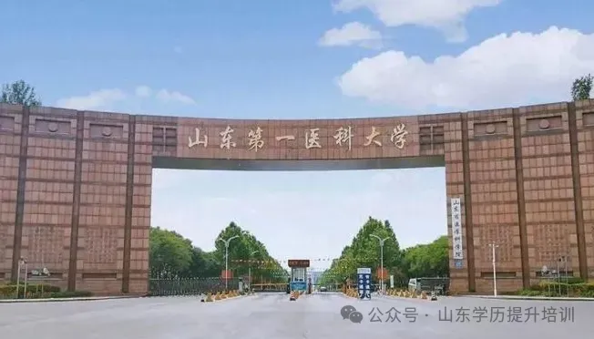 2027年山东成人高考热门院校+专业全汇总解答-第2张图片-四季读书网