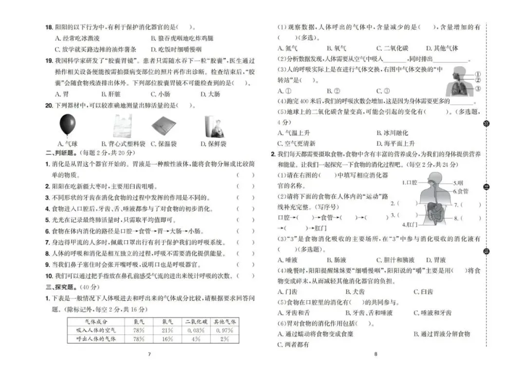 四年级上册科学:第一单元 第二单元考试试卷,单元测评卷电子版PDF,核心素养评价,有答案-第6张图片-四季读书网 四年级上册科学:第一单元 第二单元考试试卷,单元测评卷电子版PDF,核心素养评价,有答案-第6张图片-四季读书网