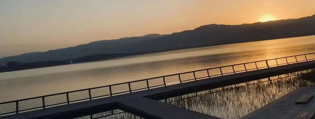 创意微写作 | 有效开展中考议论文微写作-第2张图片-四季读书网