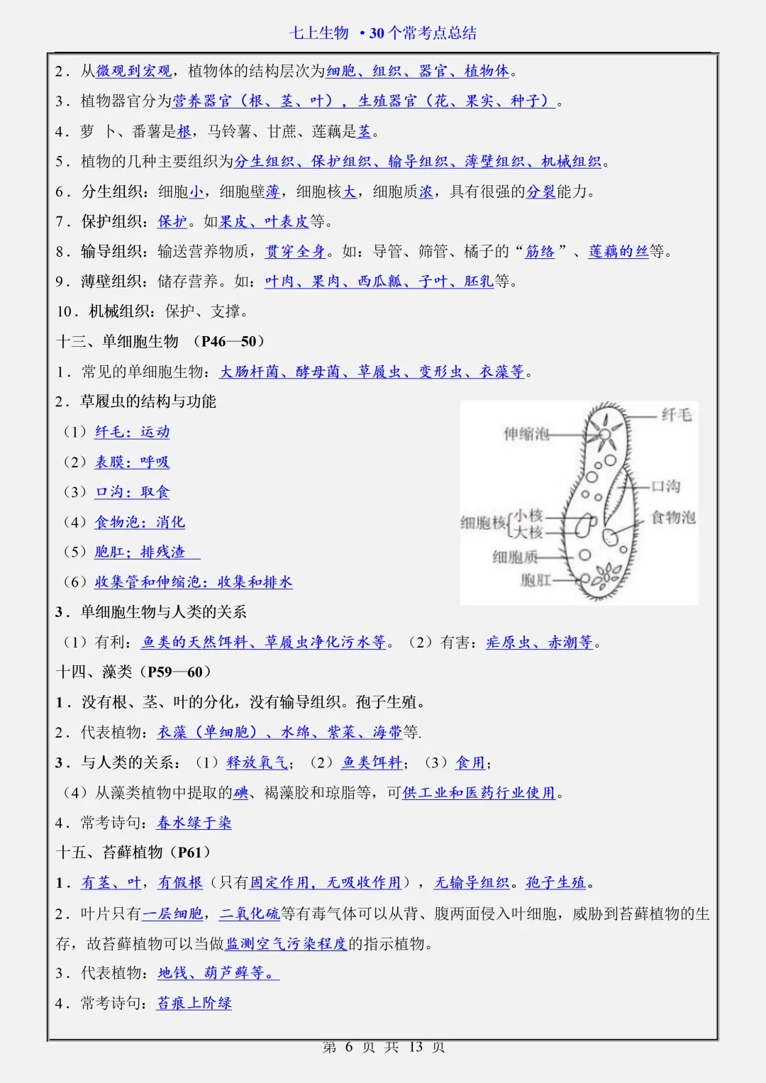 【初一】2026秋七年级上册生物30个常考点知识点梳理汇总,有完整版可打印,建议家长领取一份打印给孩子!-第8张图片-四季读书网