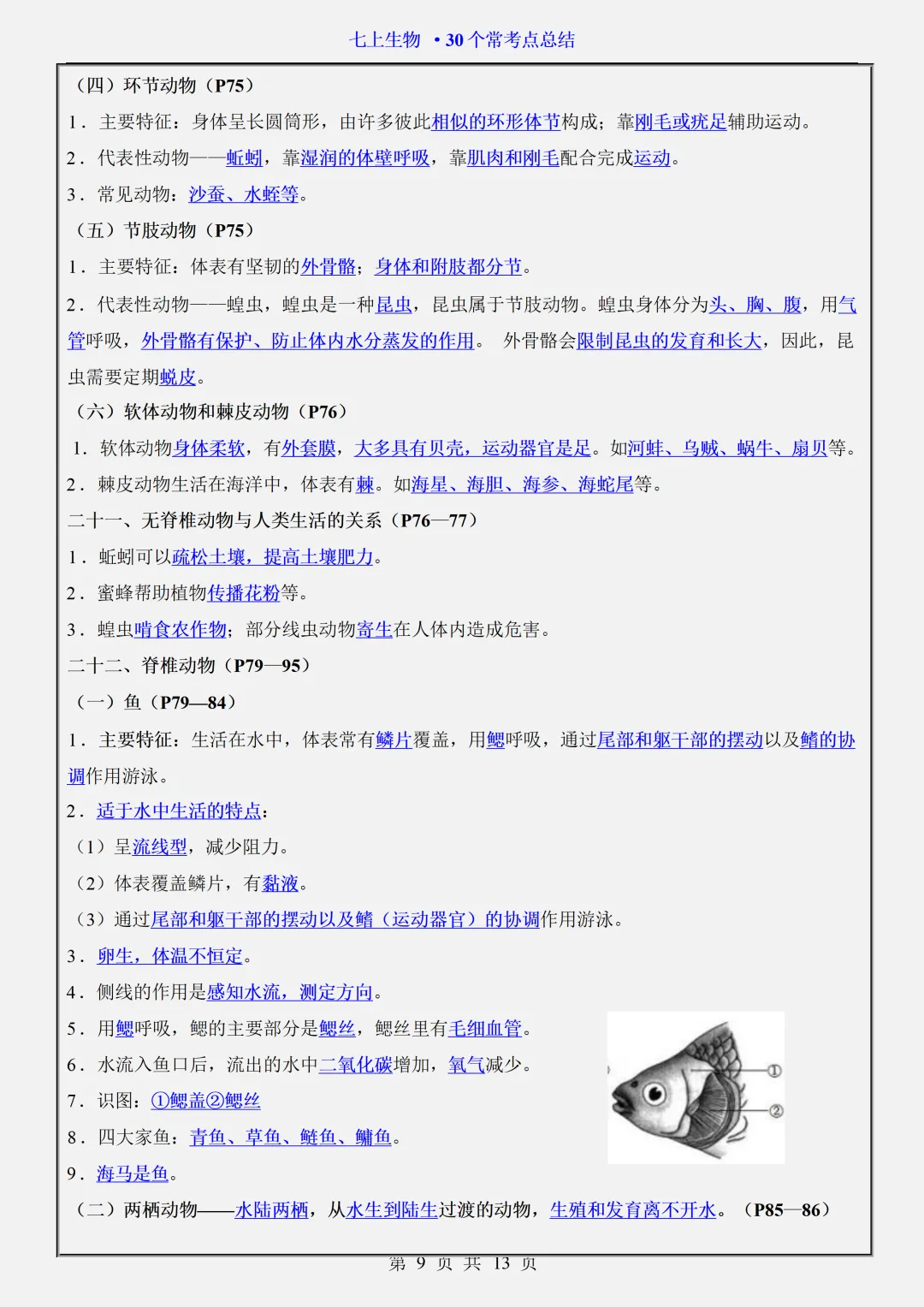 【初一】2026秋七年级上册生物30个常考点知识点梳理汇总,有完整版可打印,建议家长领取一份打印给孩子!-第11张图片-四季读书网