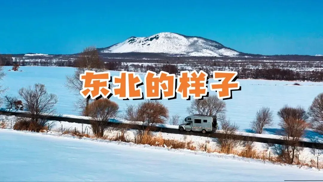 高考下一个十年,答案在东北!-第1张图片-四季读书网 高考下一个十年,答案在东北!-第1张图片-四季读书网