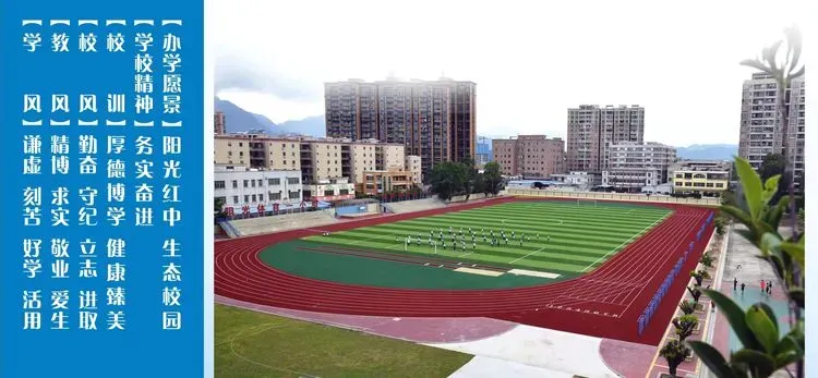 帮扶送教暖红城  精准把脉助高考——华南师大“新课标落地与高中教法学法改革”项目组赴红城中学开展帮扶活动-第4张图片-四季读书网