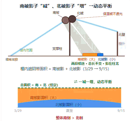 真题可视化|2022 福建卷:保温大棚遮阴带,吃透太阳高度对称日期-第3张图片-四季读书网 真题可视化|2022 福建卷:保温大棚遮阴带,吃透太阳高度对称日期-第3张图片-四季读书网