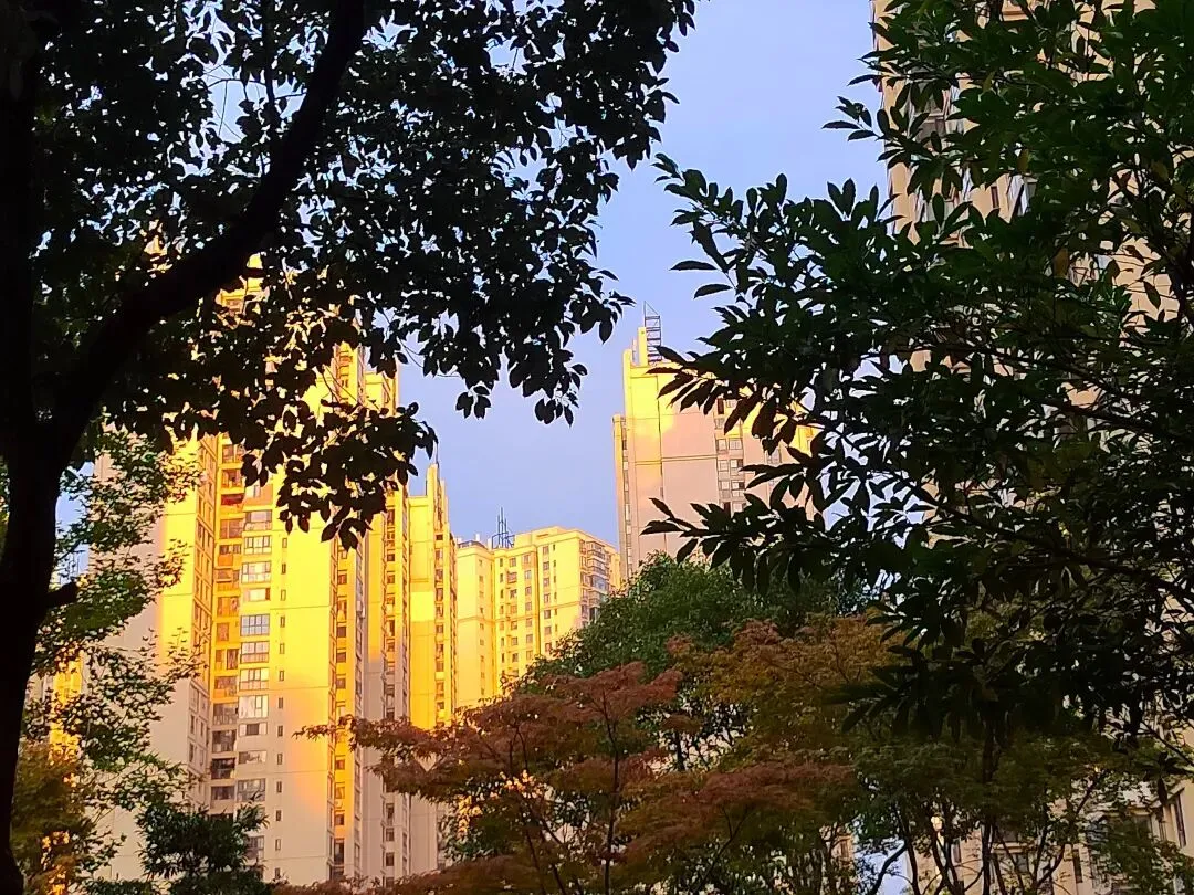 面试真题——群众的诉求【助农销售农产品】-第6张图片-四季读书网