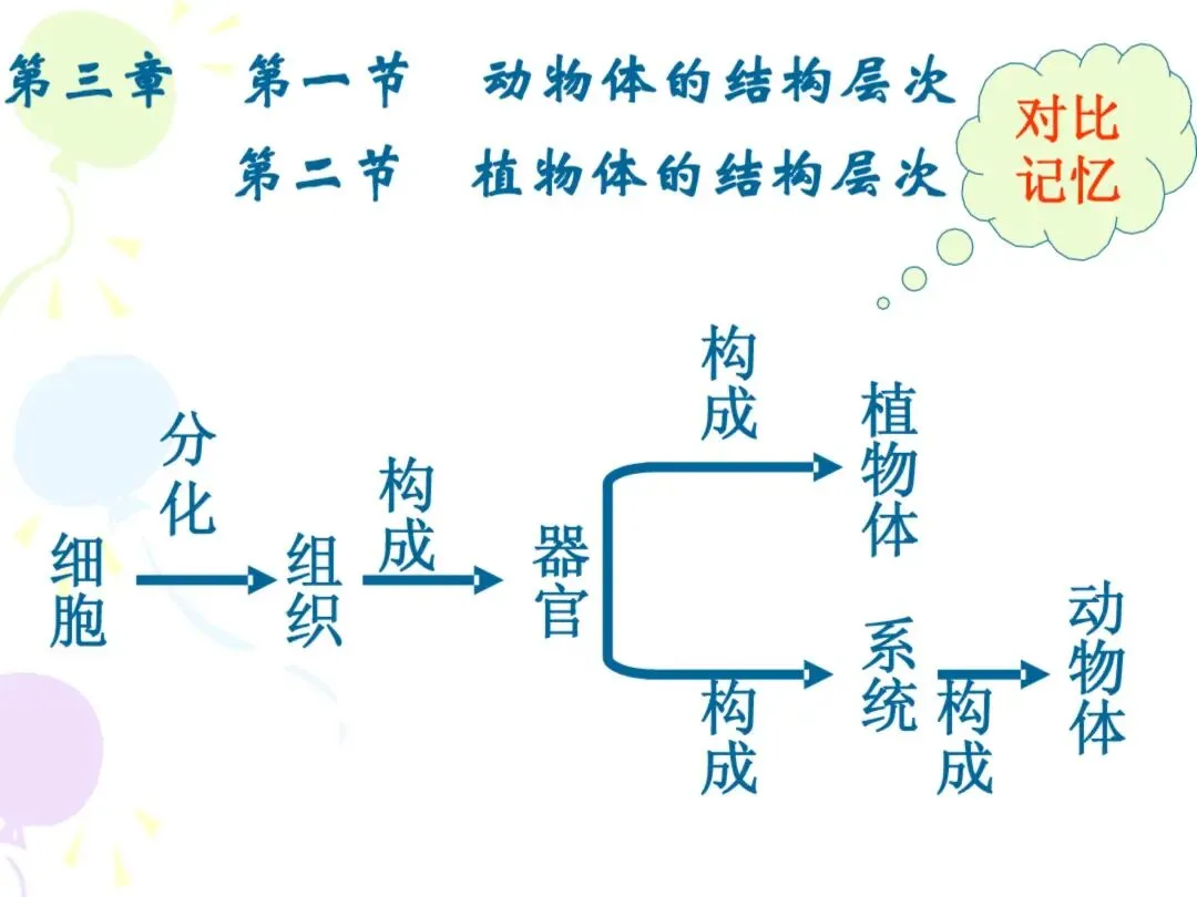 初一“历史生物地理”考点笔记导图!这些都是常考察的-第28张图片-四季读书网
