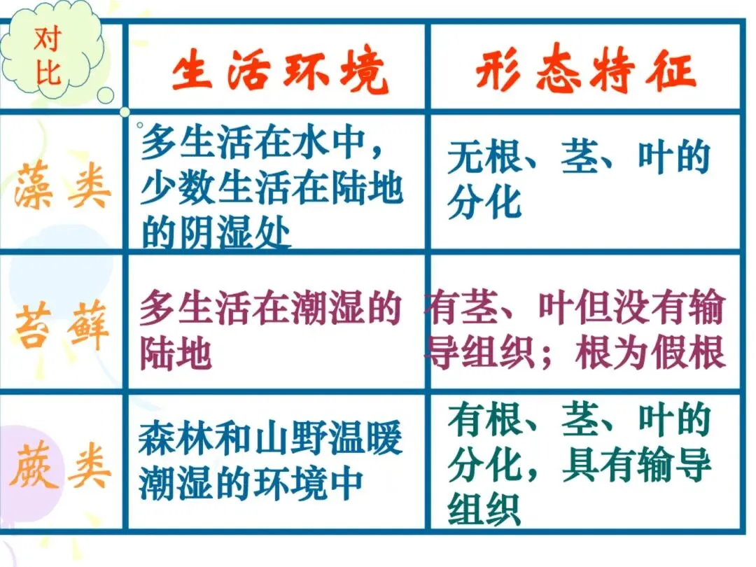 初一“历史生物地理”考点笔记导图!这些都是常考察的-第30张图片-四季读书网