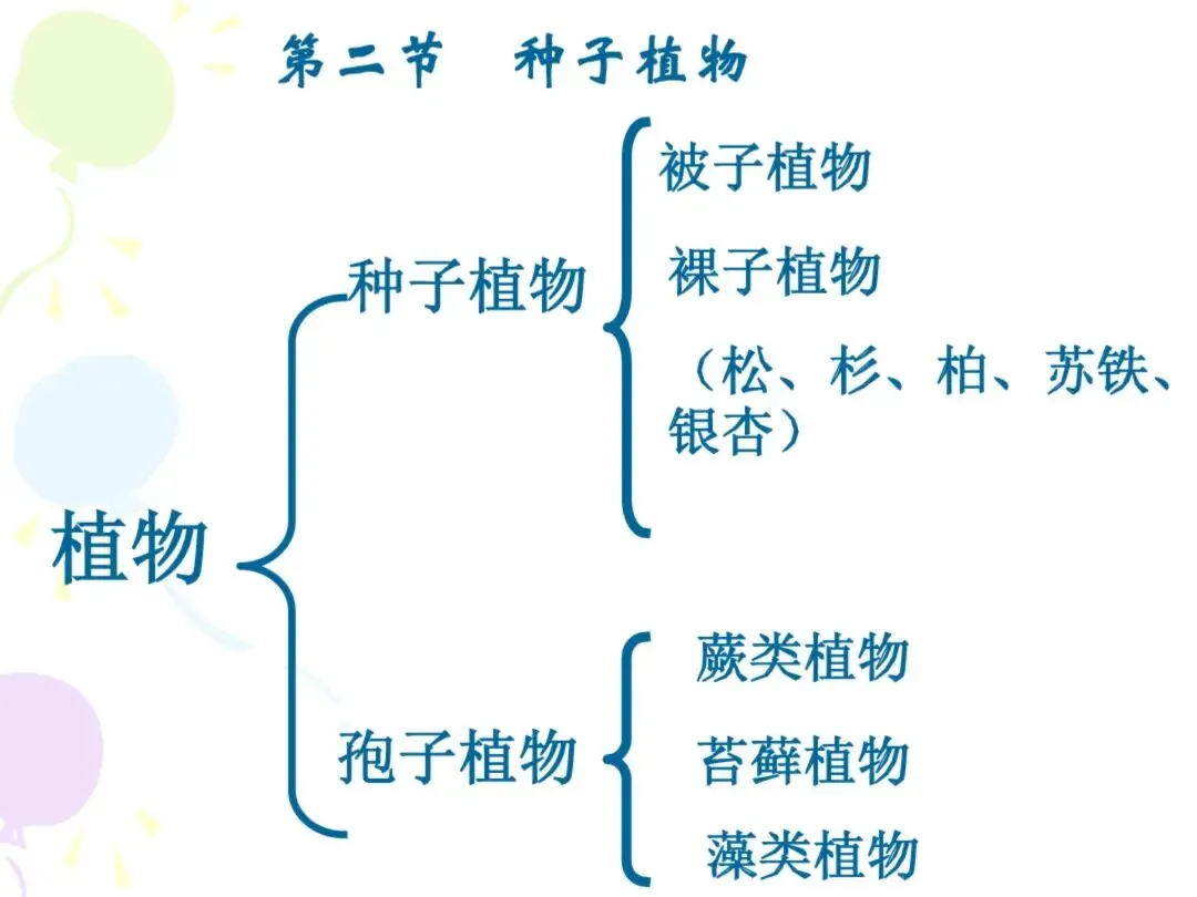初一“历史生物地理”考点笔记导图!这些都是常考察的-第31张图片-四季读书网
