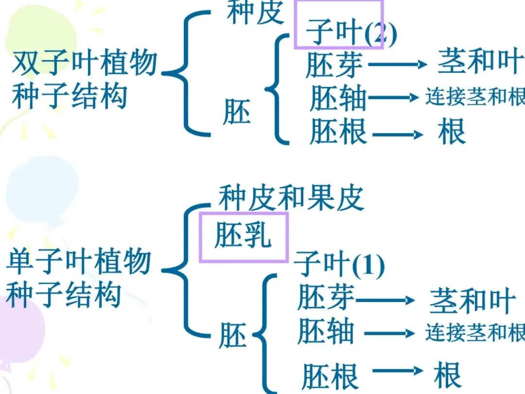 初一“历史生物地理”考点笔记导图!这些都是常考察的-第32张图片-四季读书网