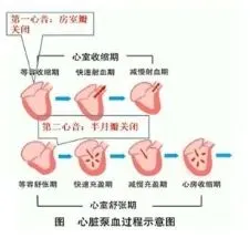 真题分享 | 执兽考试易错题之动物生理学篇(五)-第5张图片-四季读书网
