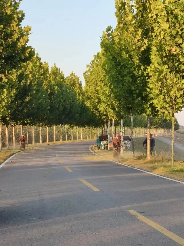 26真题:一次谈心谈话中,单位书记跟你说了一句话,“忙时心常静,静时心常忙”.对此,请谈谈你的理解?-第2张图片-四季读书网 26真题:一次谈心谈话中,单位书记跟你说了一句话,“忙时心常静,静时心常忙”.对此,请谈谈你的理解?-第2张图片-四季读书网