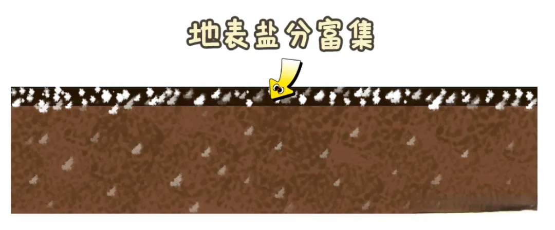 高考地理:等潜水位线图-第14张图片-四季读书网 高考地理:等潜水位线图-第14张图片-四季读书网