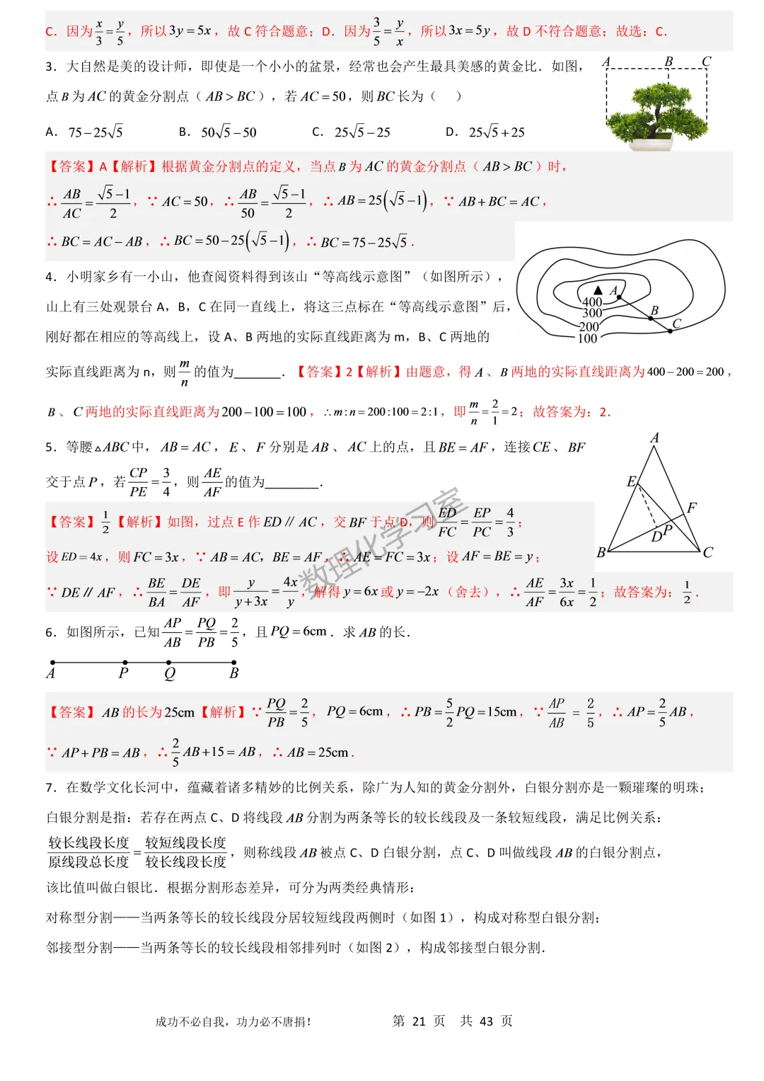 上海沪教版新教材初三上数学第28章相似三角形思维导图、经典例题及经典方法汇编学生版和解析版-第21张图片-四季读书网