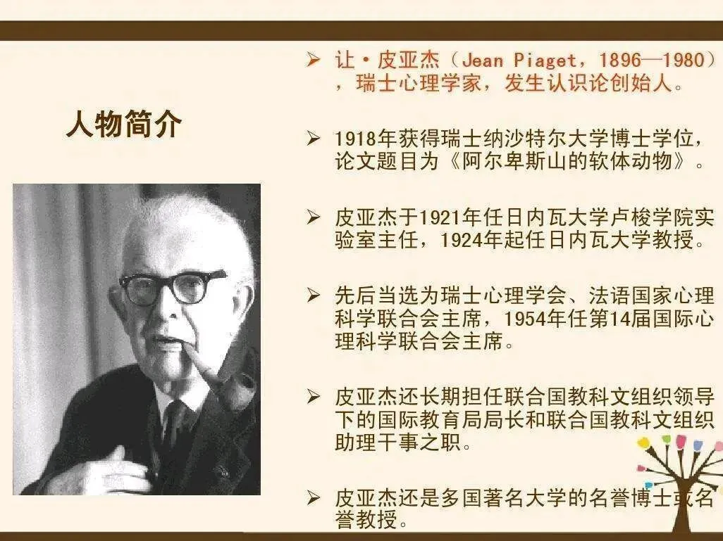 高考淘汰的,为何是“老实”孩子?-第2张图片-四季读书网 高考淘汰的,为何是“老实”孩子?-第2张图片-四季读书网