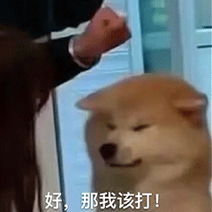 实话实说!考研进985和高考进985,有什么区别?-第7张图片-四季读书网