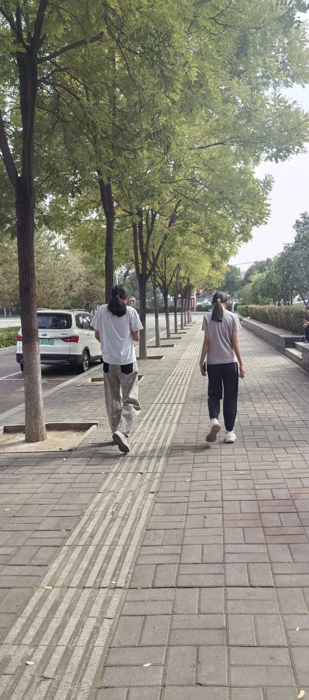 初二的孩子怎么带?聪明的家长,都在“装傻”-第1张图片-四季读书网 初二的孩子怎么带?聪明的家长,都在“装傻”-第1张图片-四季读书网