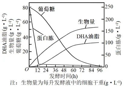 生物高考真题 | 2023年高考生物真题(辽宁卷)-第6张图片-四季读书网 生物高考真题 | 2023年高考生物真题(辽宁卷)-第6张图片-四季读书网