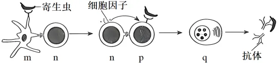 生物高考真题 | 2023年高考生物真题(辽宁卷)-第8张图片-四季读书网 生物高考真题 | 2023年高考生物真题(辽宁卷)-第8张图片-四季读书网