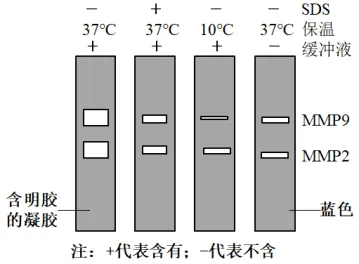生物高考真题 | 2023年高考生物真题(辽宁卷)-第10张图片-四季读书网 生物高考真题 | 2023年高考生物真题(辽宁卷)-第10张图片-四季读书网