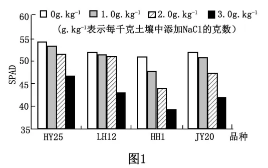 生物高考真题 | 2023年高考生物真题(辽宁卷)-第12张图片-四季读书网 生物高考真题 | 2023年高考生物真题(辽宁卷)-第12张图片-四季读书网