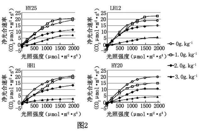 生物高考真题 | 2023年高考生物真题(辽宁卷)-第13张图片-四季读书网 生物高考真题 | 2023年高考生物真题(辽宁卷)-第13张图片-四季读书网