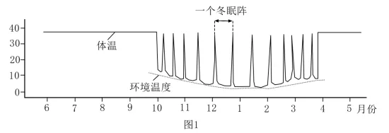 生物高考真题 | 2023年高考生物真题(辽宁卷)-第14张图片-四季读书网 生物高考真题 | 2023年高考生物真题(辽宁卷)-第14张图片-四季读书网