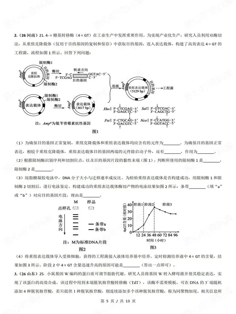 高中生物-真题专项针对训练测验基因工程高考练习-第5张图片-四季读书网 高中生物-真题专项针对训练测验基因工程高考练习-第5张图片-四季读书网