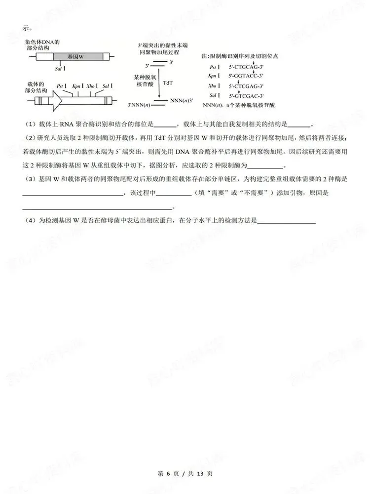 高中生物-真题专项针对训练测验基因工程高考练习-第6张图片-四季读书网 高中生物-真题专项针对训练测验基因工程高考练习-第6张图片-四季读书网