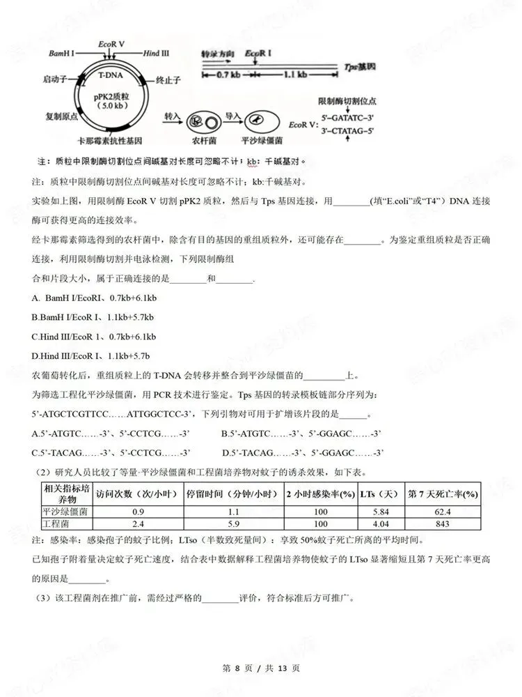 高中生物-真题专项针对训练测验基因工程高考练习-第7张图片-四季读书网 高中生物-真题专项针对训练测验基因工程高考练习-第7张图片-四季读书网