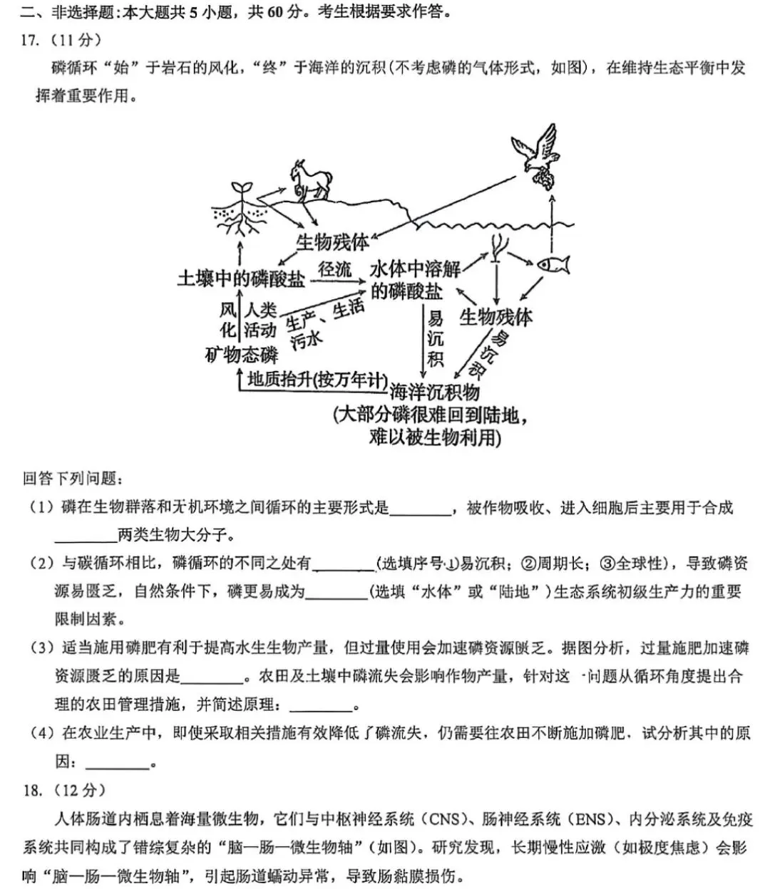 【高中生物】高三生物模拟试卷(6)-第7张图片-四季读书网 【高中生物】高三生物模拟试卷(6)-第7张图片-四季读书网