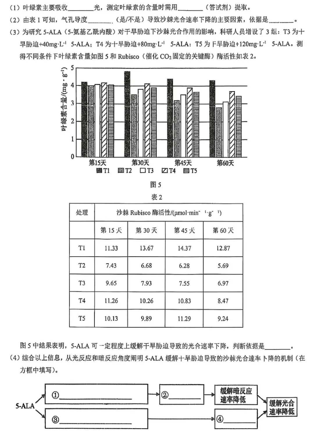 【高中生物】高三生物模拟试卷(6)-第9张图片-四季读书网 【高中生物】高三生物模拟试卷(6)-第9张图片-四季读书网