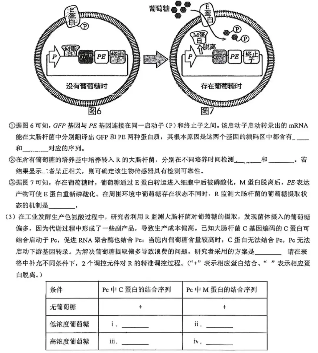 【高中生物】高三生物模拟试卷(6)-第11张图片-四季读书网 【高中生物】高三生物模拟试卷(6)-第11张图片-四季读书网