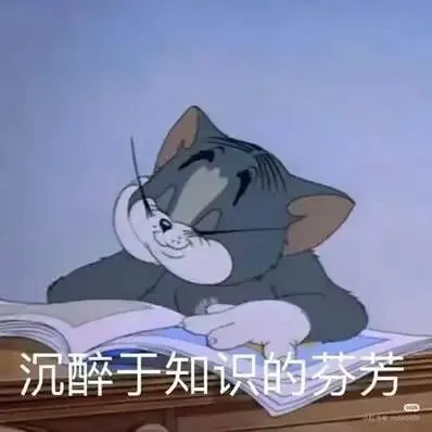 ALevel考试季来临!如何高效利用真题-第3张图片-四季读书网