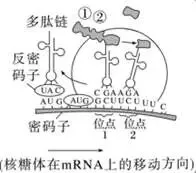 山东高考每日一练(17)-第3张图片-四季读书网 山东高考每日一练(17)-第3张图片-四季读书网