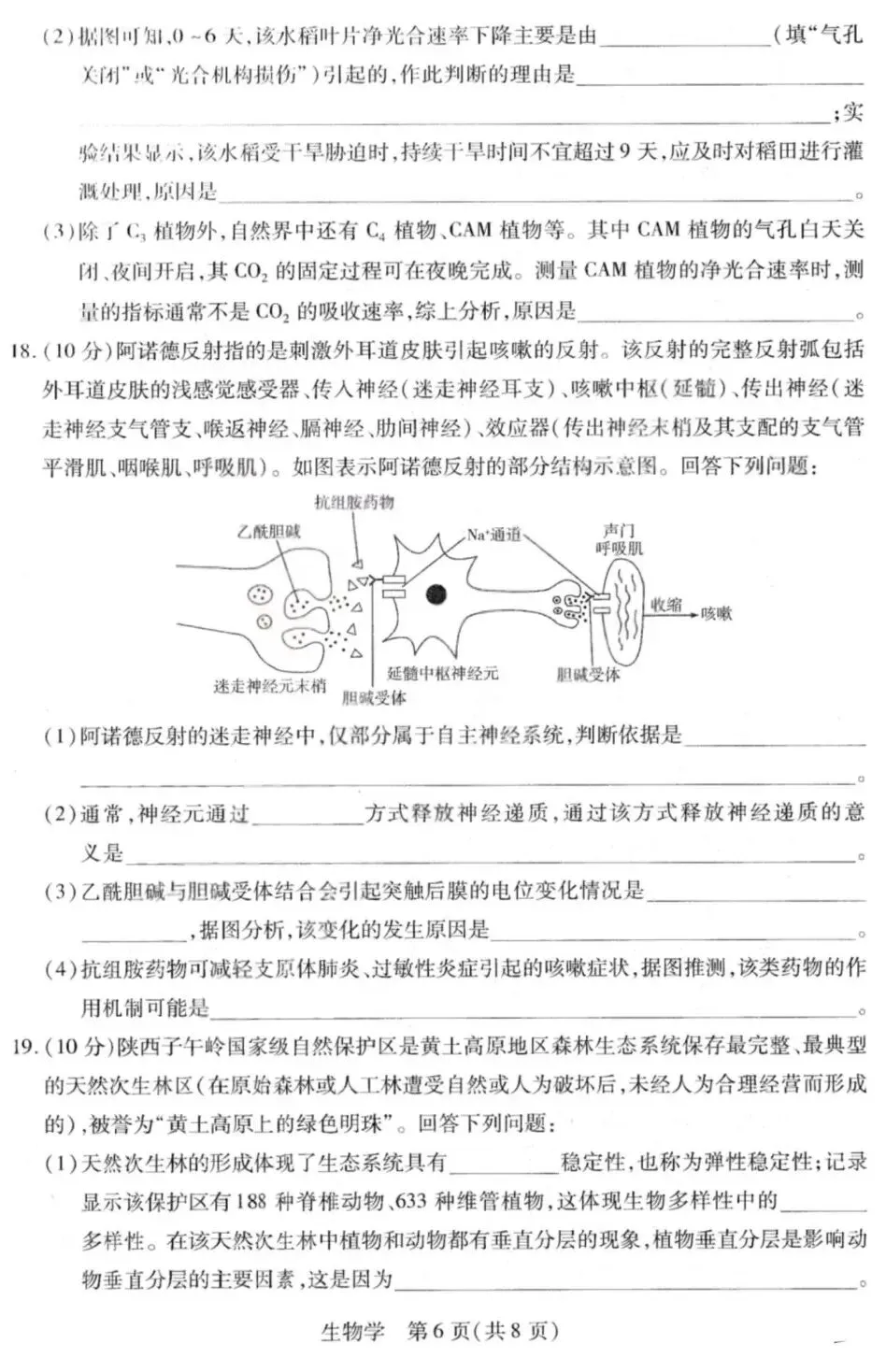 【高中生物】高三生物模拟试卷(7)-第7张图片-四季读书网 【高中生物】高三生物模拟试卷(7)-第7张图片-四季读书网