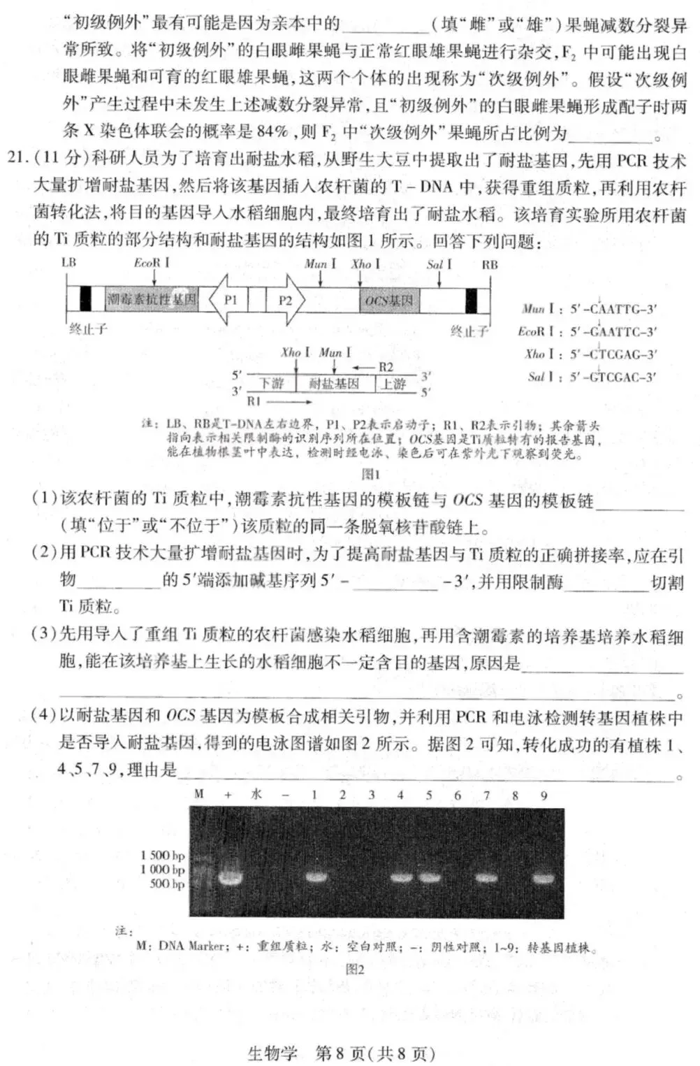 【高中生物】高三生物模拟试卷(7)-第9张图片-四季读书网 【高中生物】高三生物模拟试卷(7)-第9张图片-四季读书网